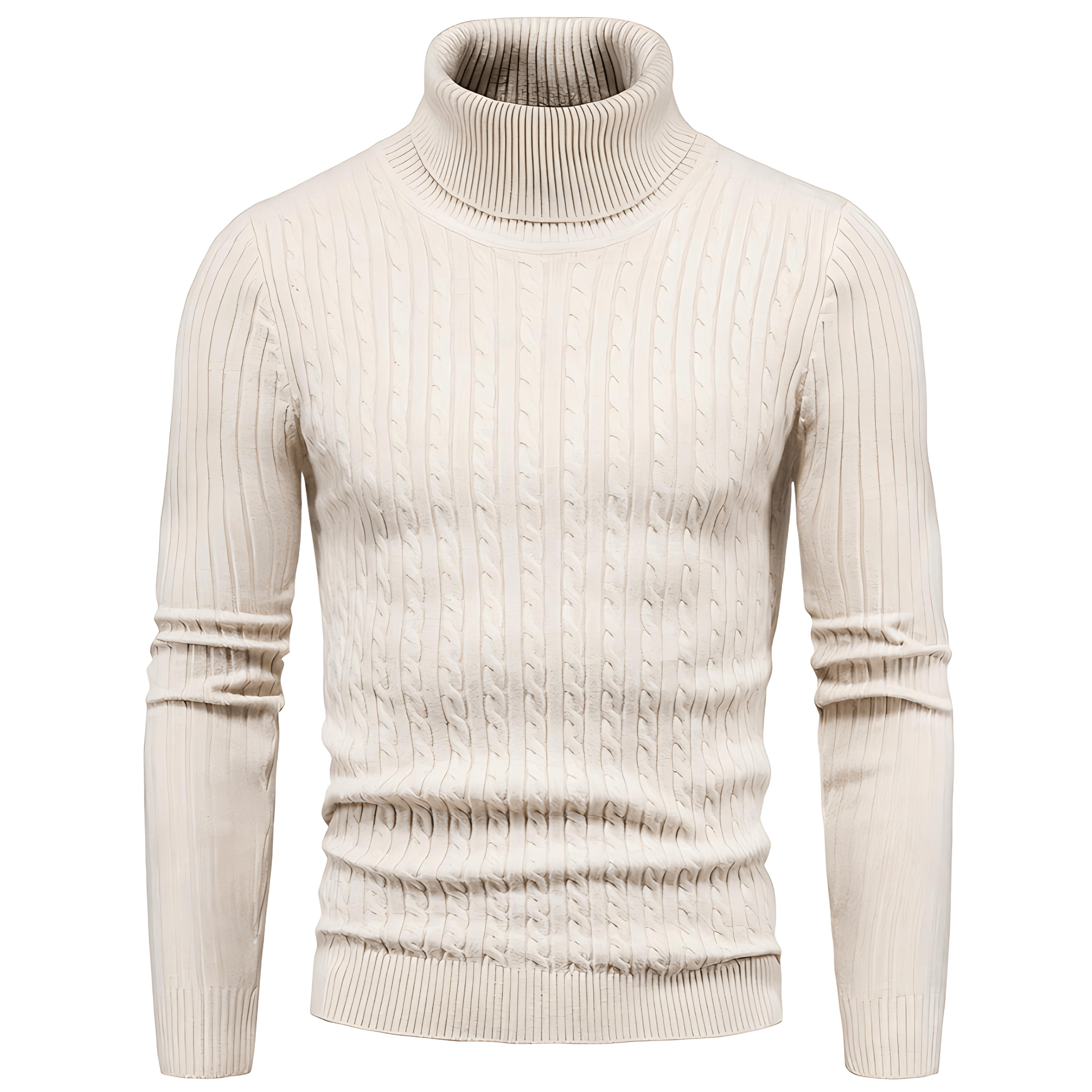 Cevori Knitted Slim Fit Turtleneck Sweater