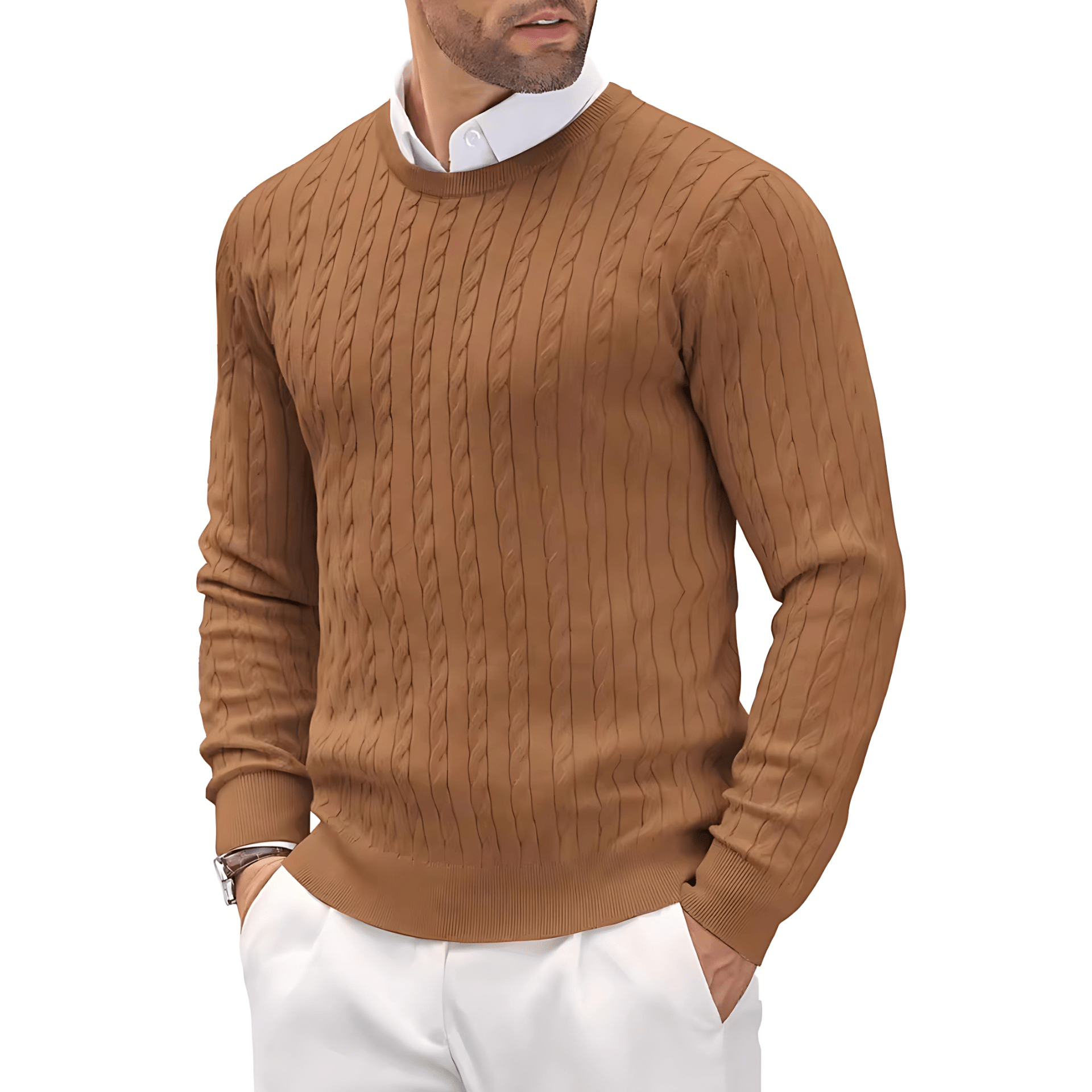 Cevori Stylish Slim Fit Knitted Jumper