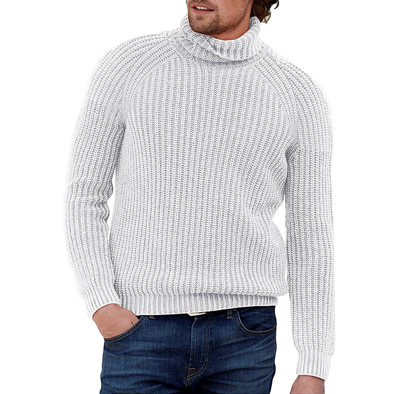 Cevori Chunky Knit Jumper with High Collar