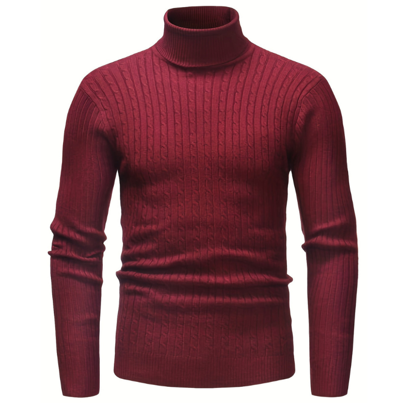 Cevori Knitted Slim Fit Turtleneck Sweater